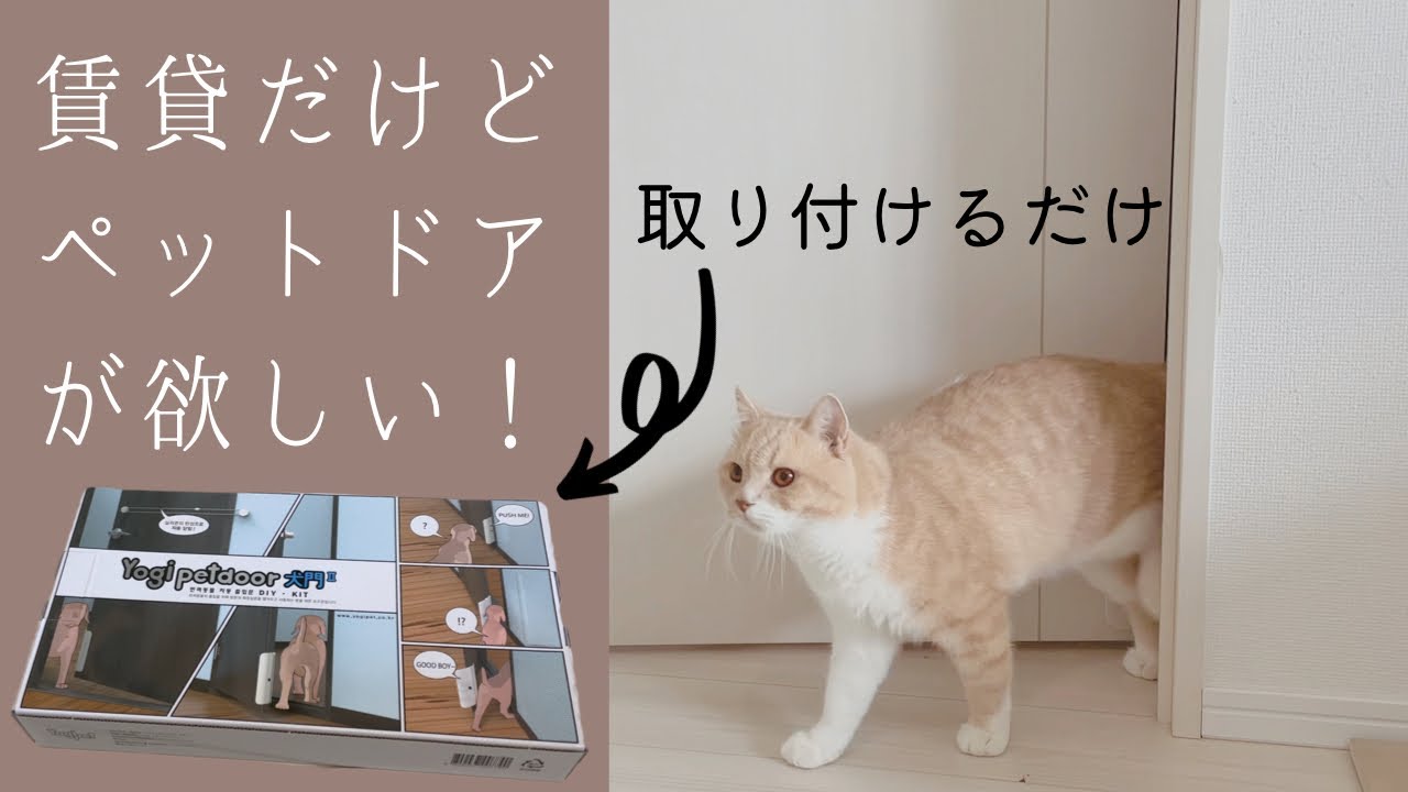 賃貸だけどペットドアが欲しい！が叶いました／半自動ドア化【猫グッズ】
