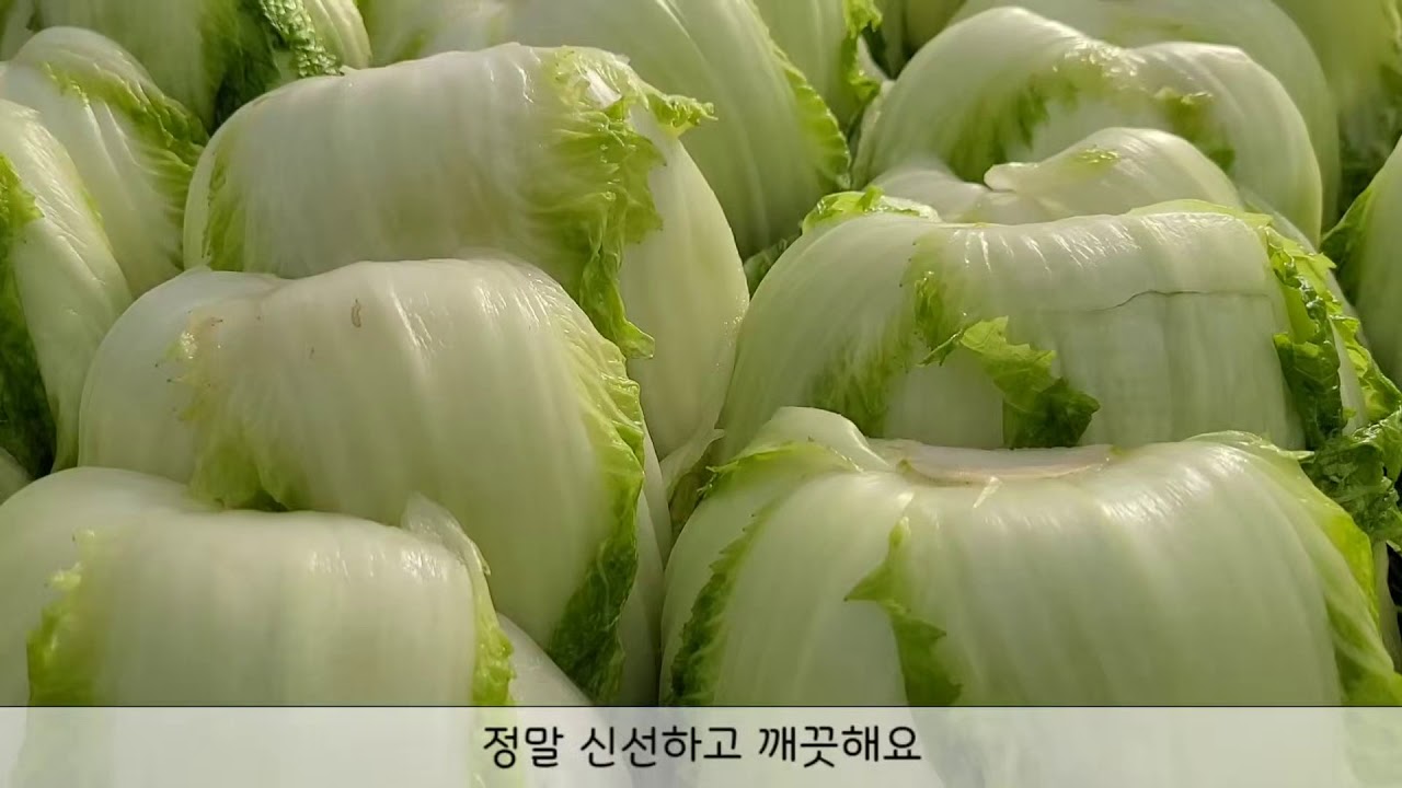 괴산 초록농장 절임배추는 이렇게 만들어서 보내드려요:)
