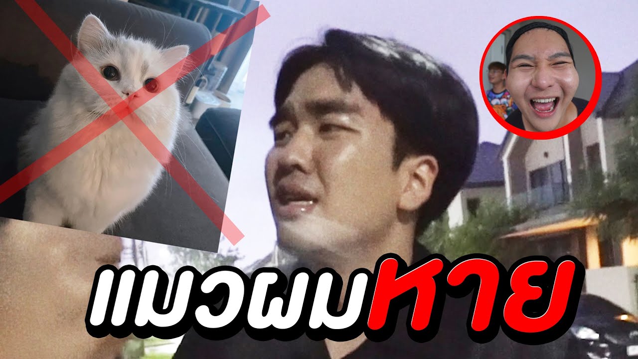 ผมทำแมว Kyutae Oppa หาย ??????