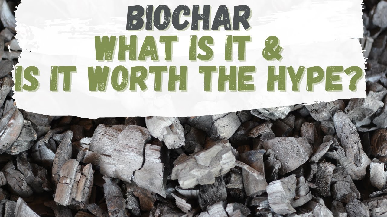 Biochar: What is it and is it worth the hype?