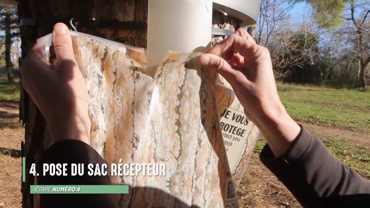 Écopiège®, Vidéo d’Installation