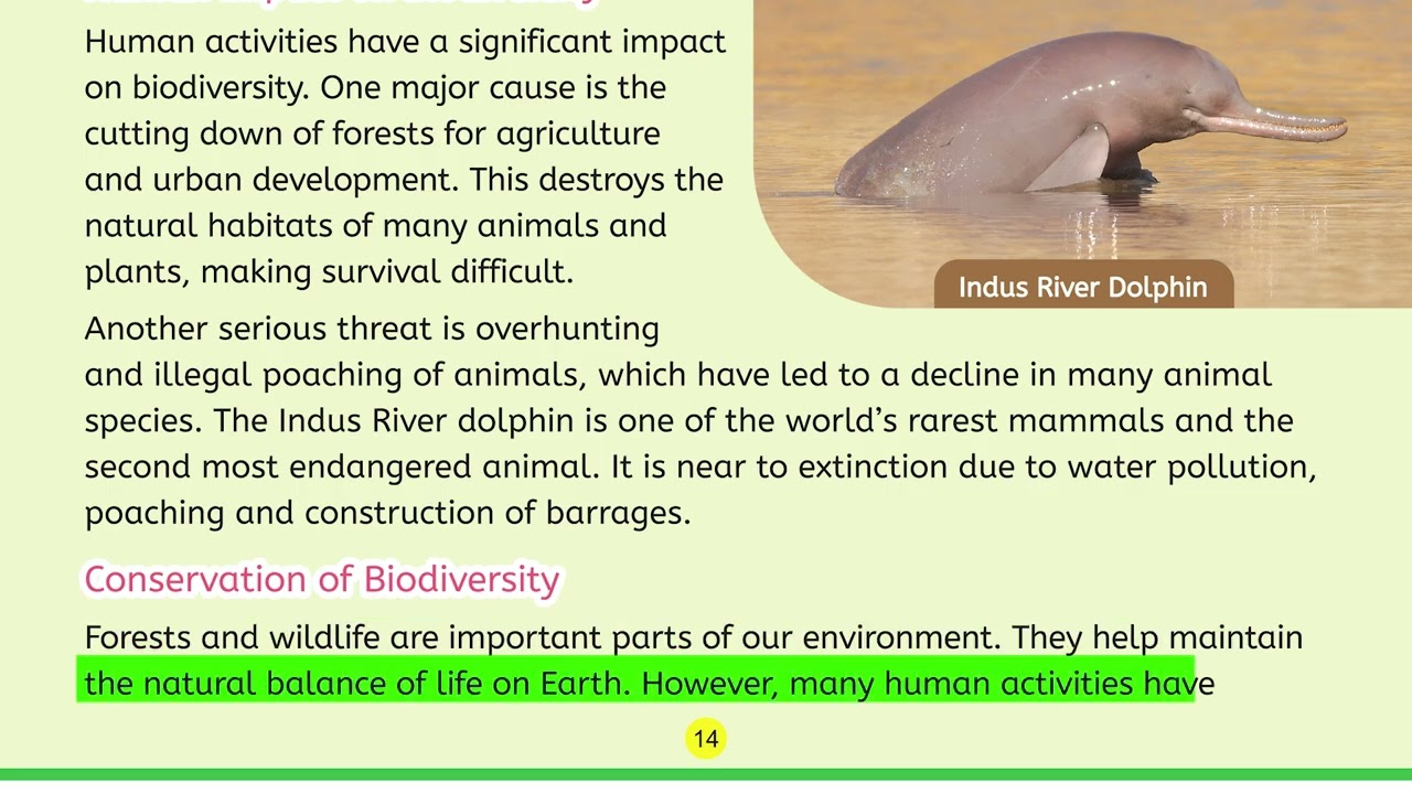 Science 5 Class STEM Series Topic 4 | Biodiversity