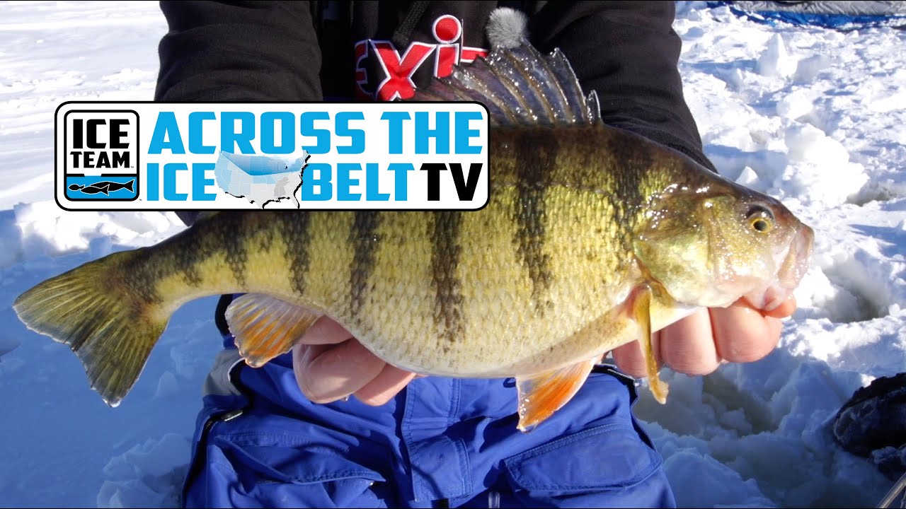 Across the Ice Belt TV - Episode 6 - Skyscraper Perch