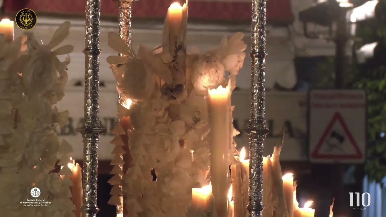 Palcos Virgen de la Estrella | Domingo de Ramos (Hdad. de la Estrella) 2023
