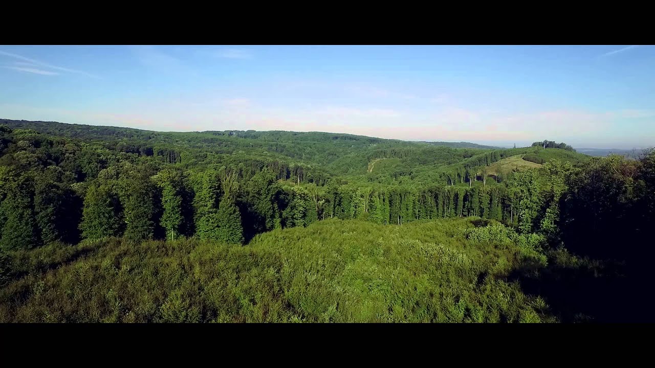 FlyingEyes Drone Media - Woods