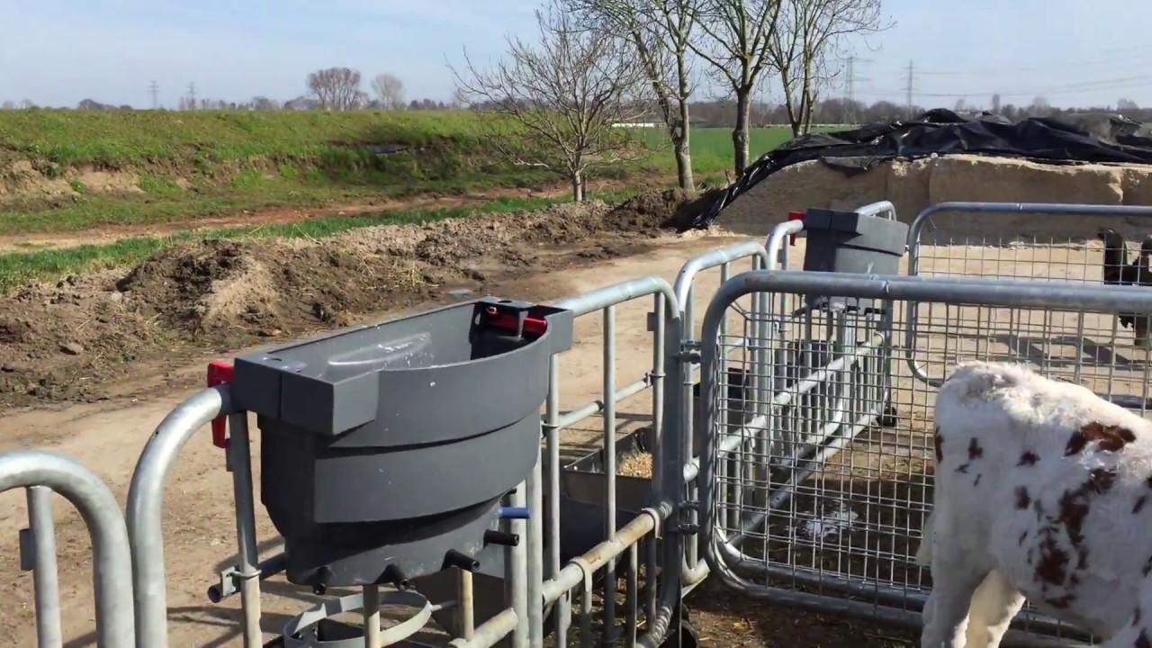 Group Calf Housing in Holland with Agri-Plastics Video 2/3