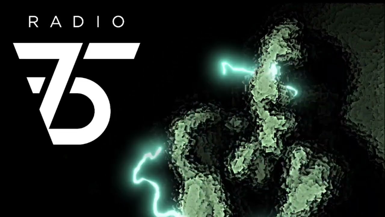 Radio75 - Luxury Of Bots (Official Video Lyric)