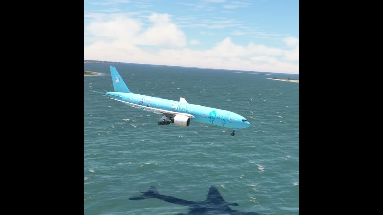 Airplane Emergency Landing in the open sea EP299