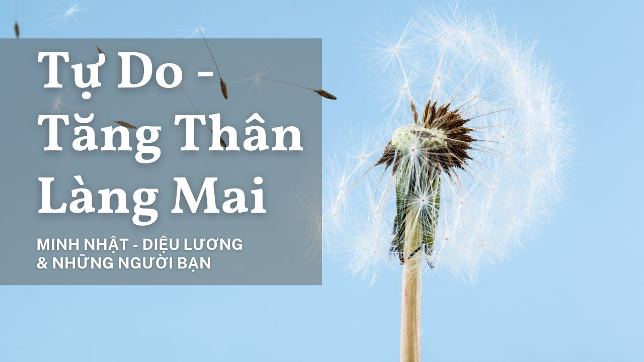 Tương tức (Tự do) -  Fredoom of the heart | Thiền Ca Làng Mai