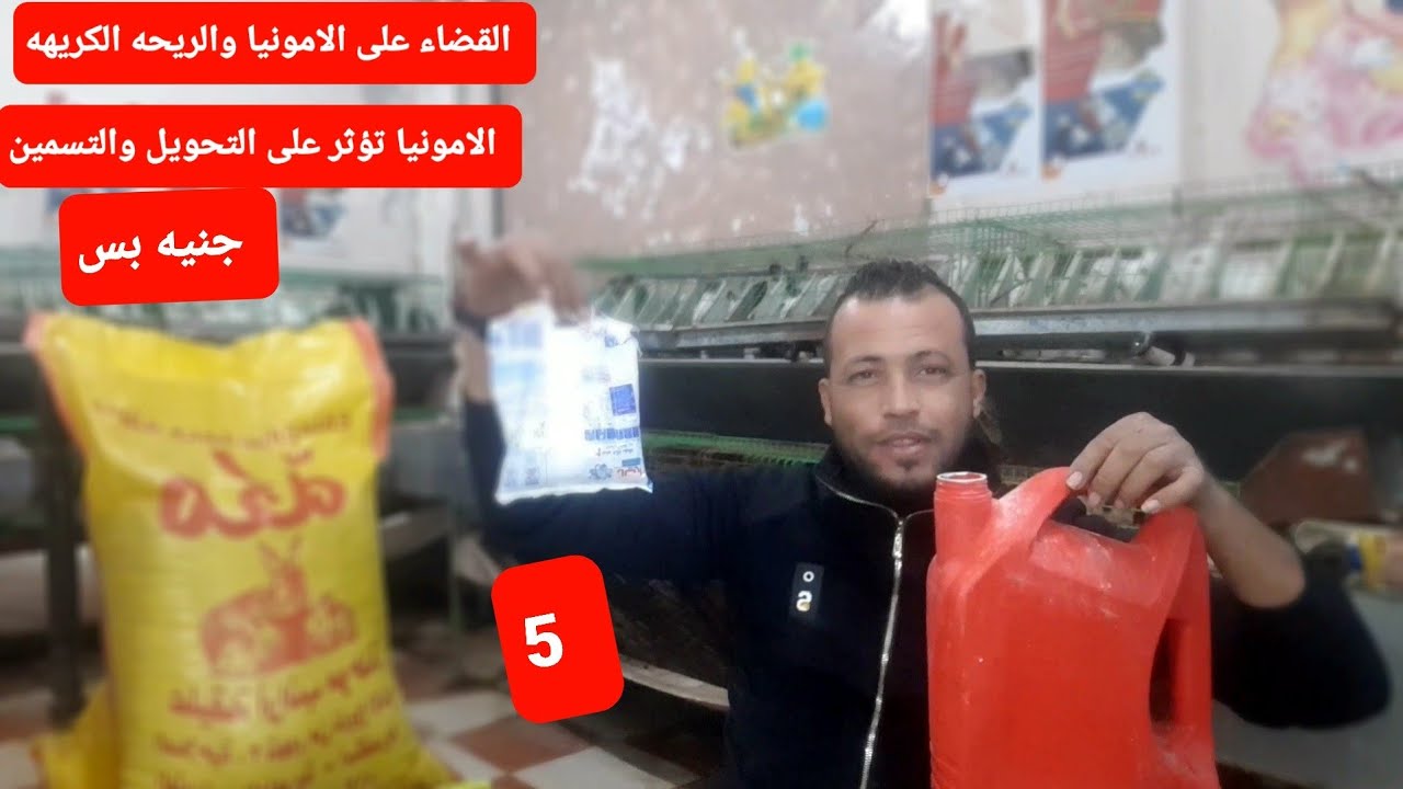 القضاء على الامونيا الارنب والريحه الكريهه في العنبر والمزرعه ب 5 جنيه ارانب بدون امونيا ومشاكل