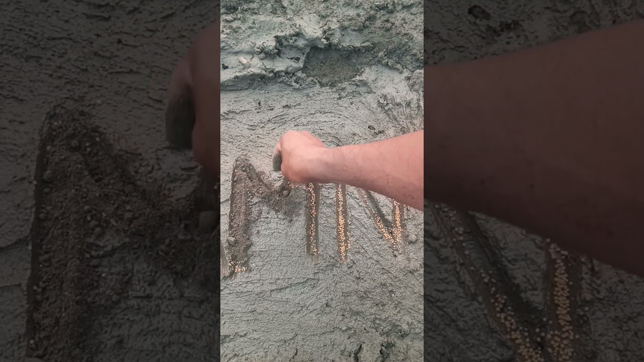 SeedMasterMagic 🌱Seeds tho &ldquo;Mn&rdquo; letter design chesi #farming #nuture #youtubeshorts #minifut #carto