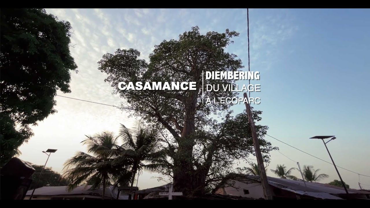 Casamance, Diembering, du village à l'Écoparc.
