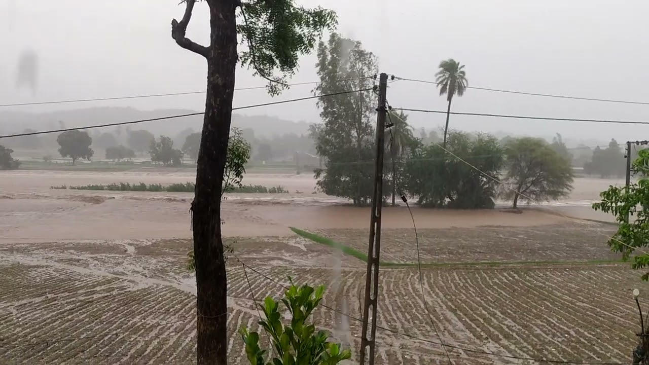 Mahunala Village River (ઉમરિયા ડેમ માં જતું પાણી)(Dahod, Gujrat) 