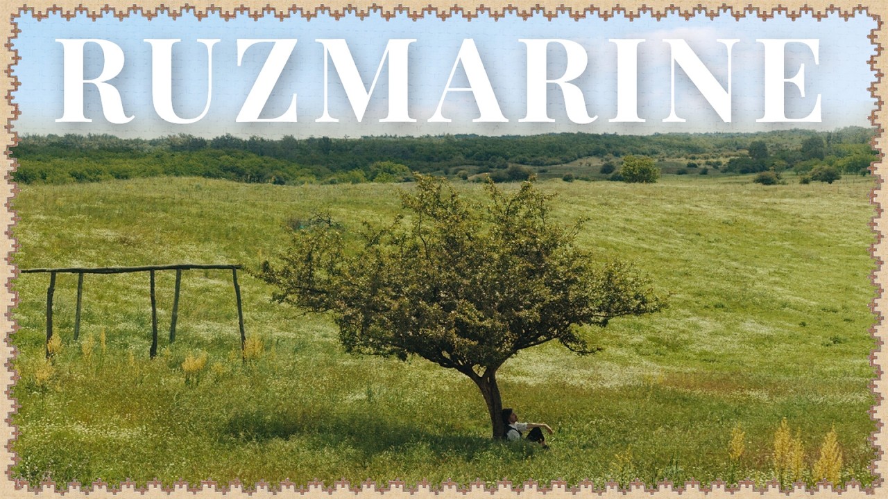 Ruke - Ruzmarine (Među svojima)