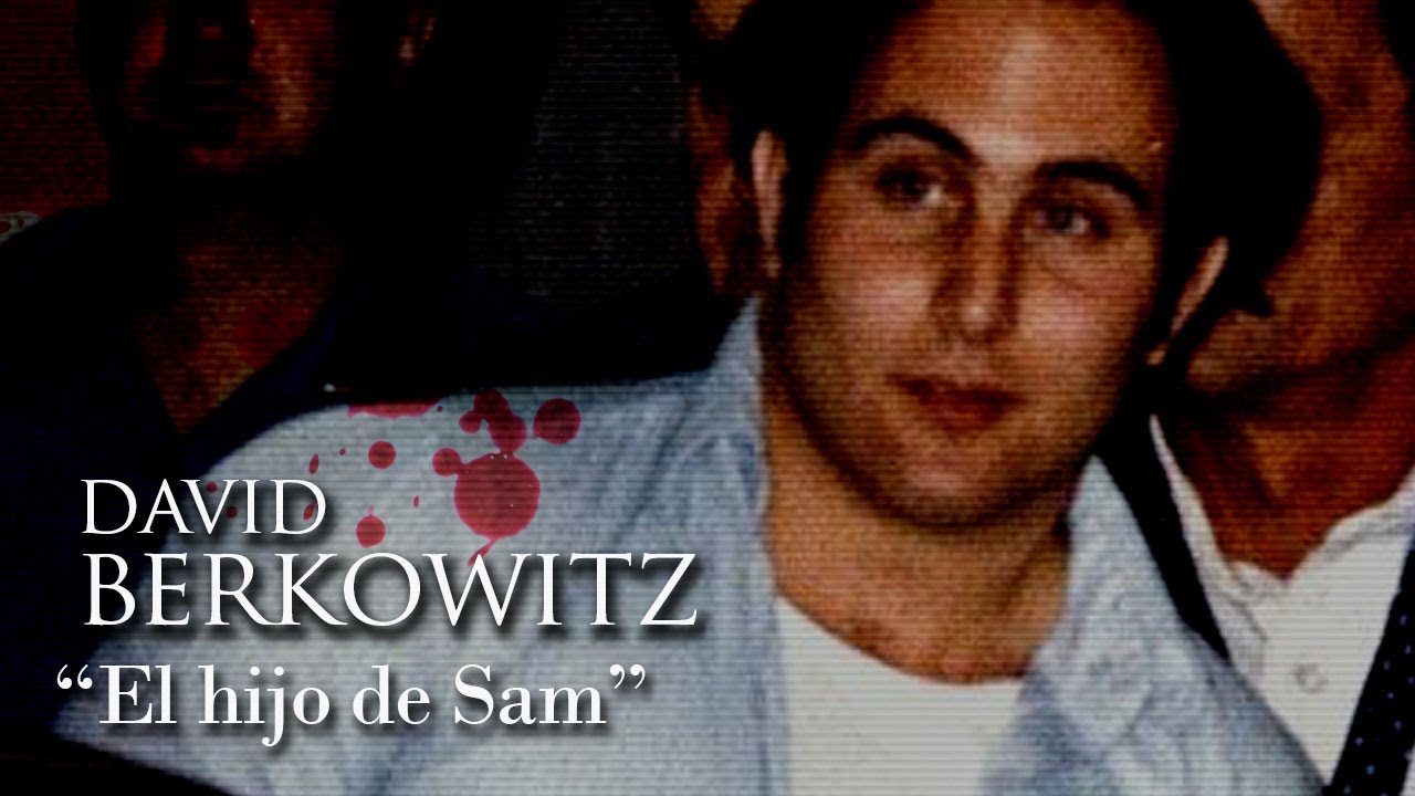 DAVID BERKOWITZ - 