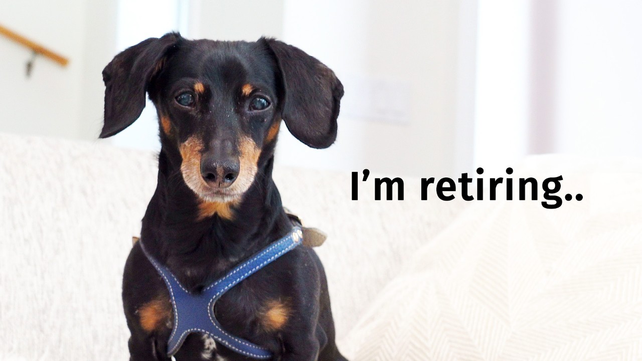 Ep 73: Crusoe retires...