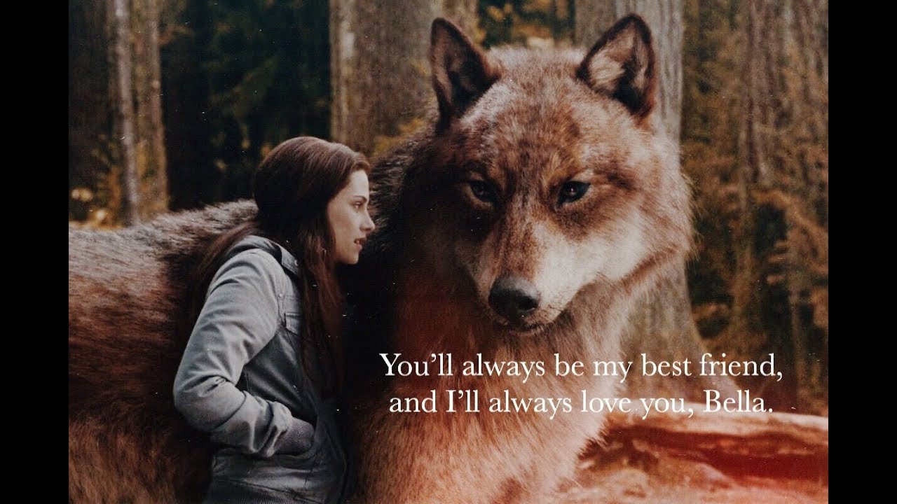 Jacob & Bella | Say something