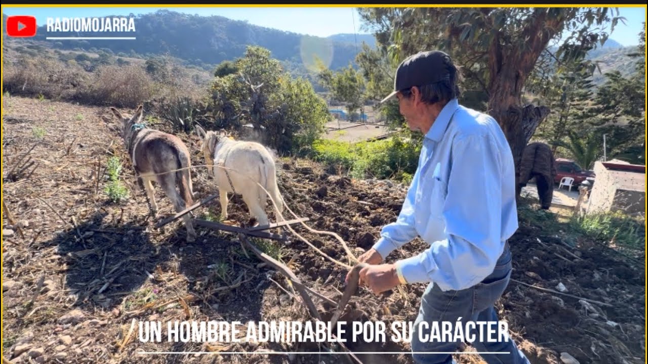 Como Francisco dejó el alcohol.. con una Yerba 