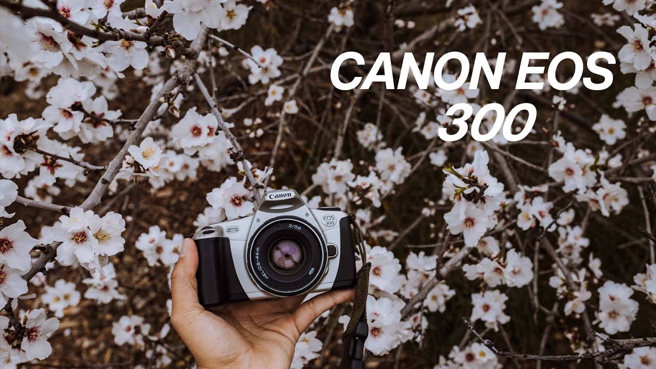 Canon EOS 300 — потрясающая пленочная камера, о которой вы никогда не слышали