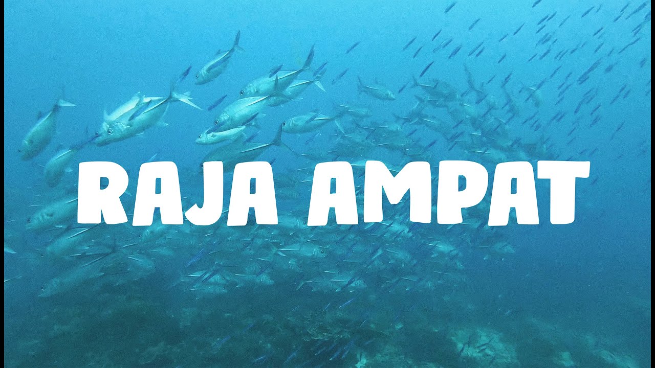 RAJA AMPAT - 2024