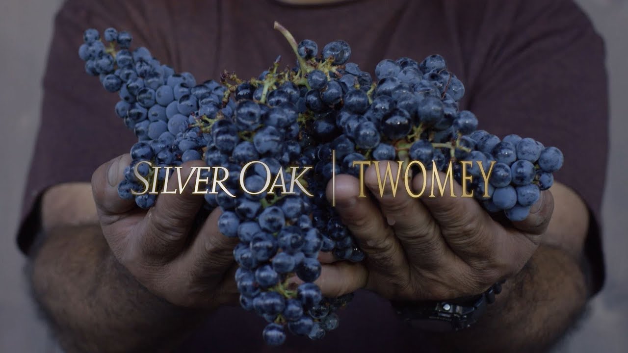 Working at Silver Oak and Twomey Cellars