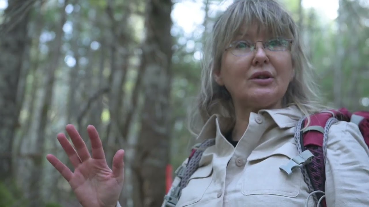 Part 1: Listening to your Hemlock