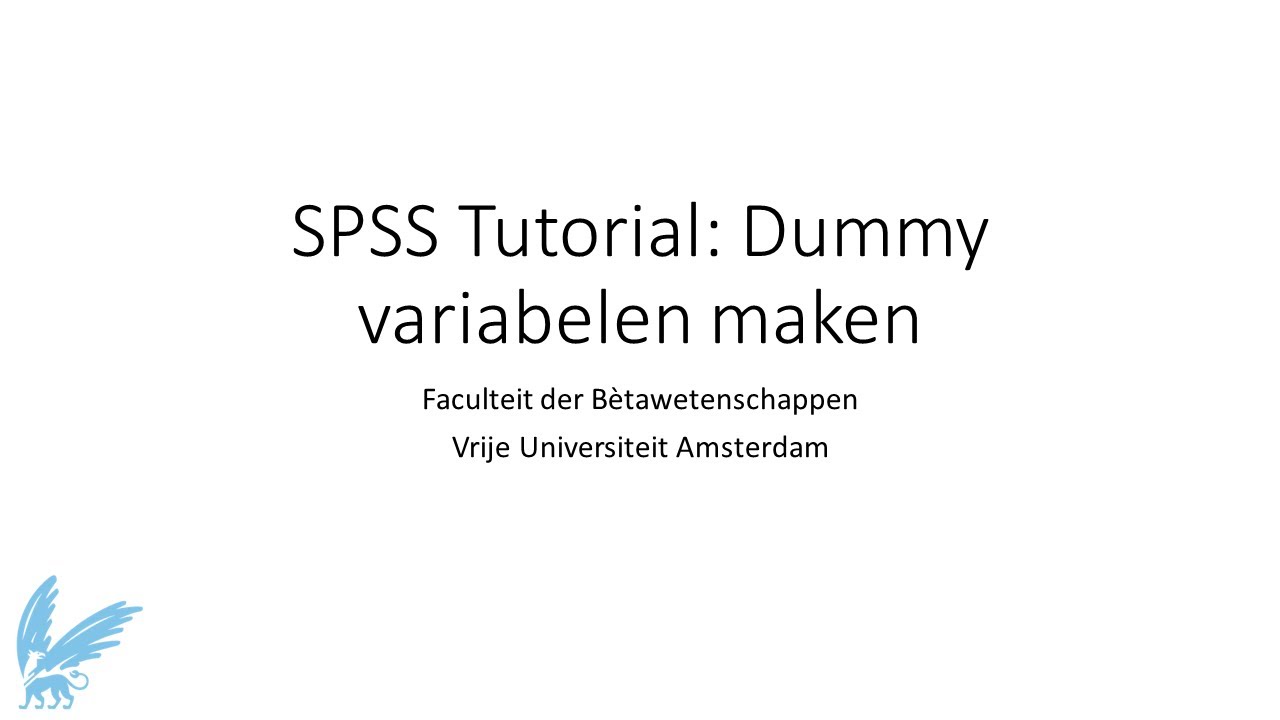 Video 3 - Dummy variabelen maken