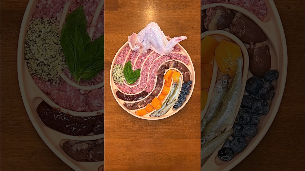 Кормлю свою дочь СЫРОЙ печенью и свининой 🥩🐖 #шорты