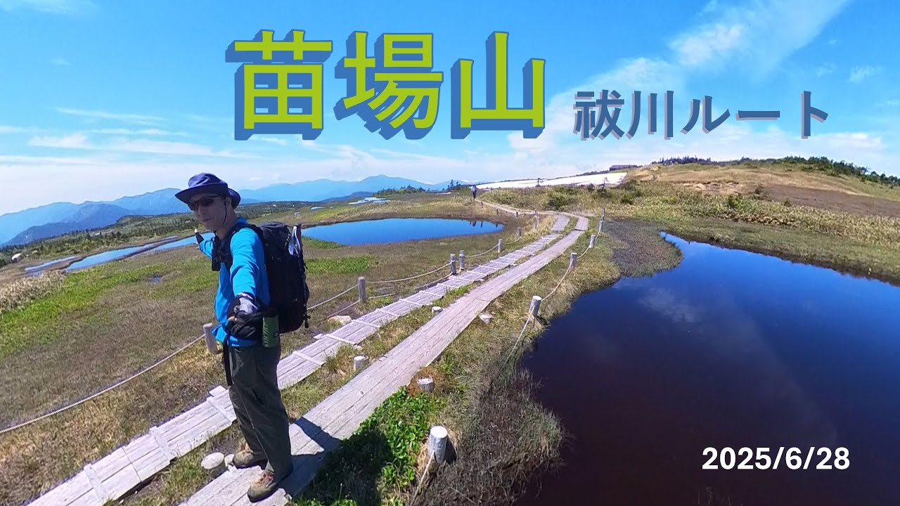山歩き：苗場山　祓川ルート　日帰り