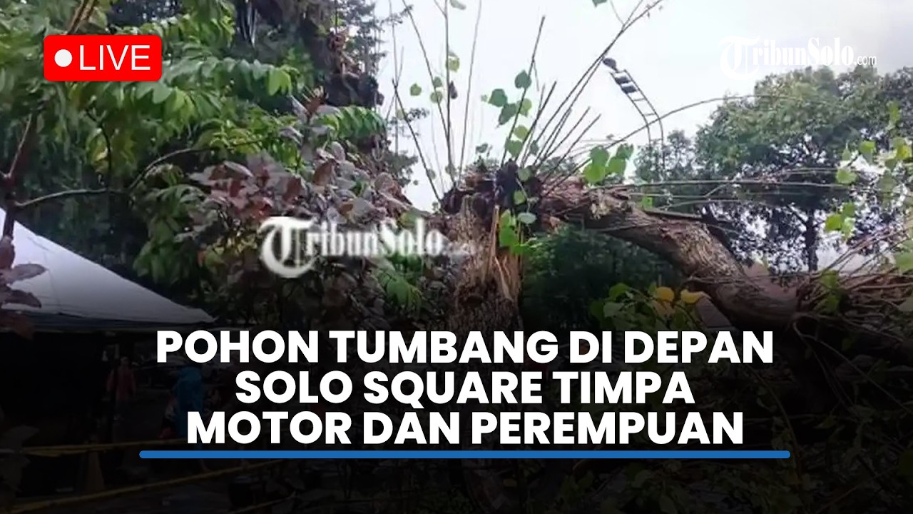🔴LIVE : Pohon Tumbang di Depan Solo Square, Perempuan Tiba-tiba Keluar dari Timbunan Ranting