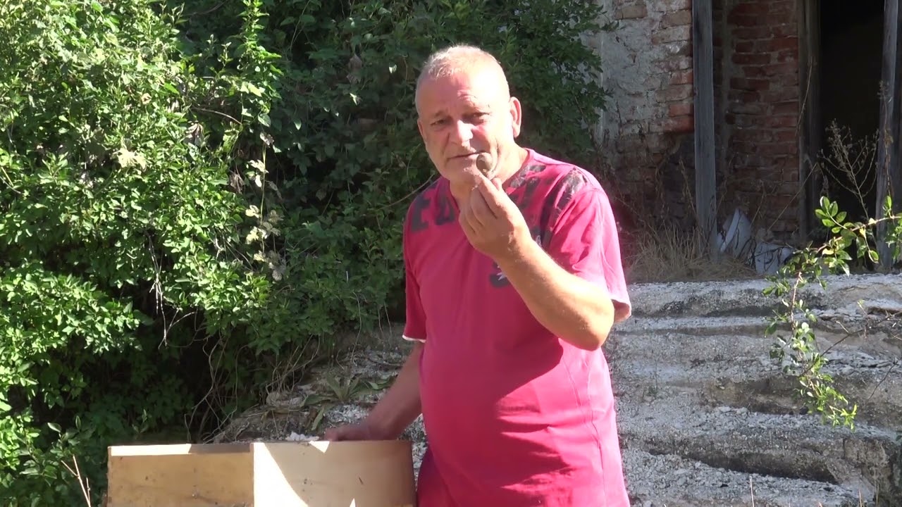 Сливово-село во Славна Дебрца