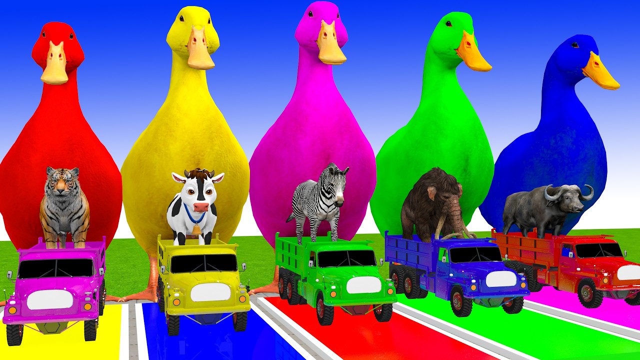 Long Slide Game With Cow Elephant Gorilla Hippopotamus Tiger 3d Animal Game Funny 3d Animals