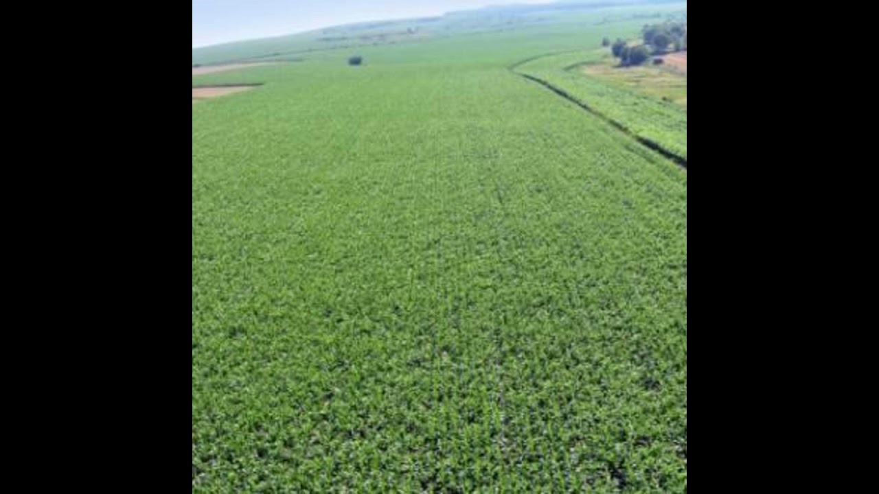 Jim McCarthy on his 20,000 ha farm business in Romania