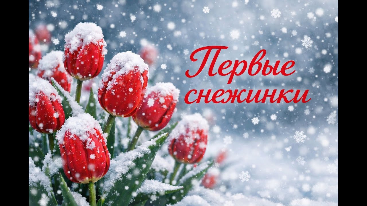 Самогит - Первые снежинки