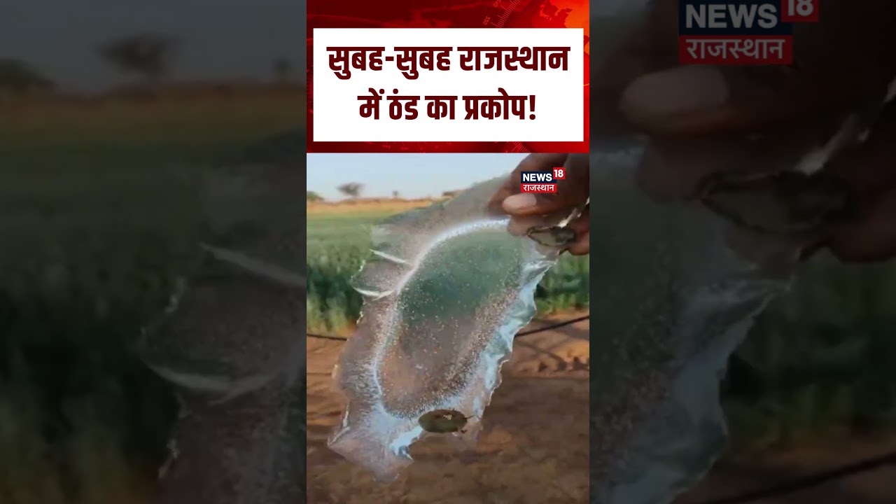 Nagaur Weather News | डेगाना में शीतलहर का कहर | Rajasthan Weather News | N18S | Sprinkler Frozen