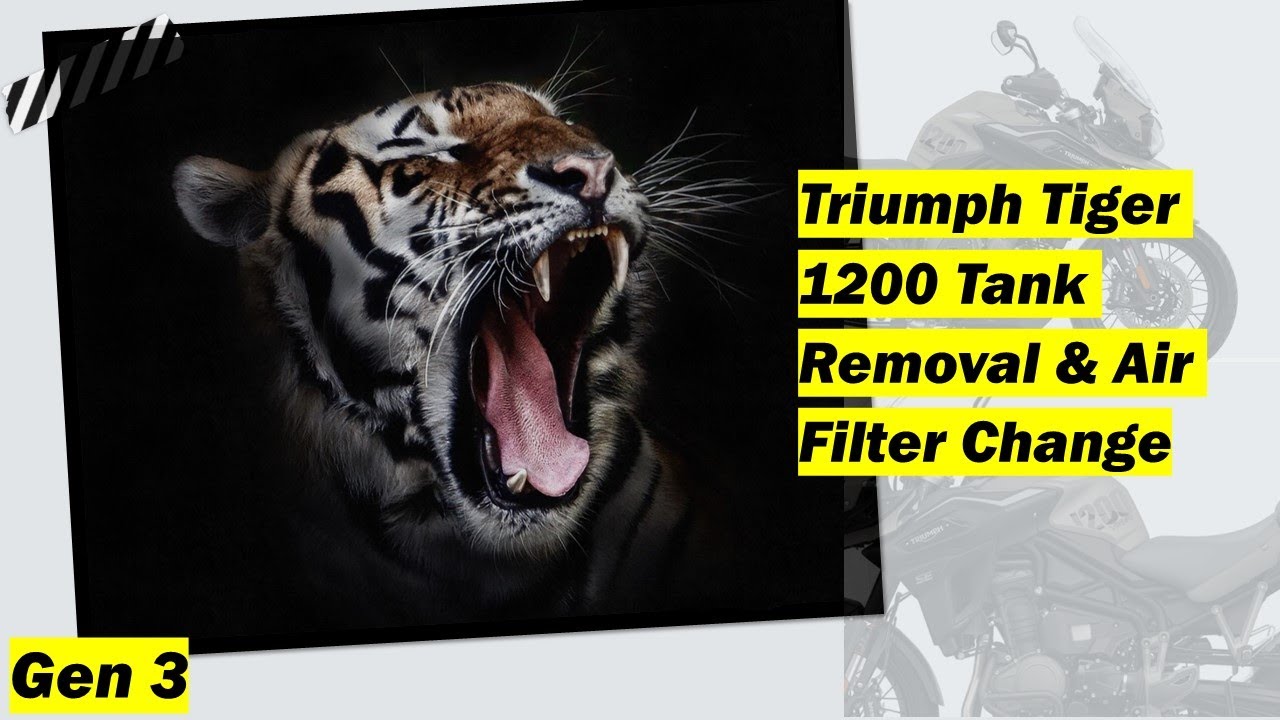 Triumph Tiger 1200 Tank Removal and Air Filter Replacement