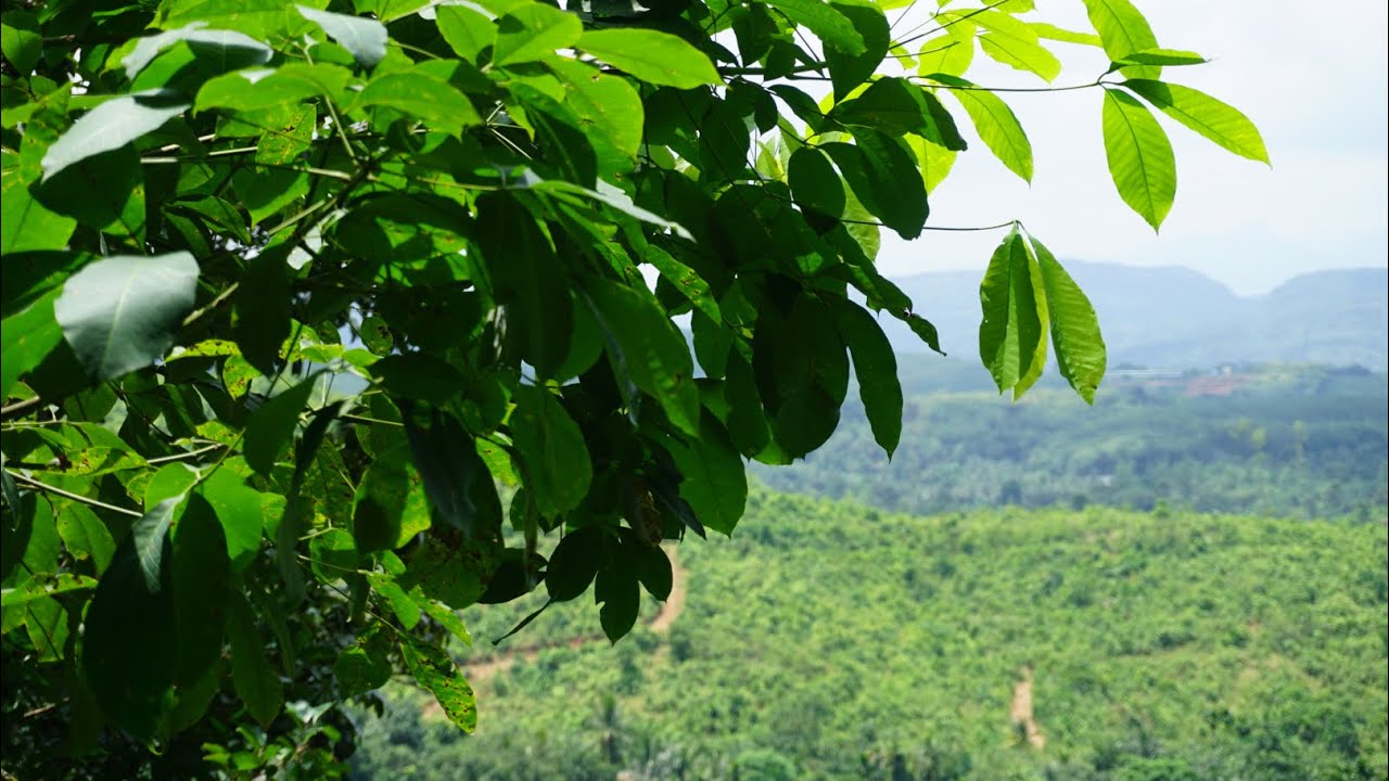 අමරණීය වෙන හැටි හා සම්මතය තුල මුලාව.