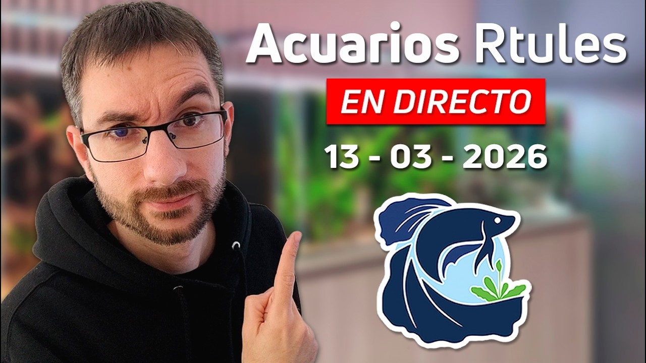 🔴Pregúntame lo que Quieras | Respondiendo Dudas en Directo