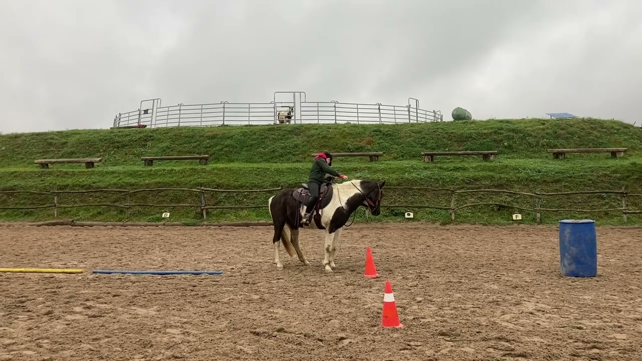 Anabelle & Escagor Level 2 Freestyle Parelli Audition