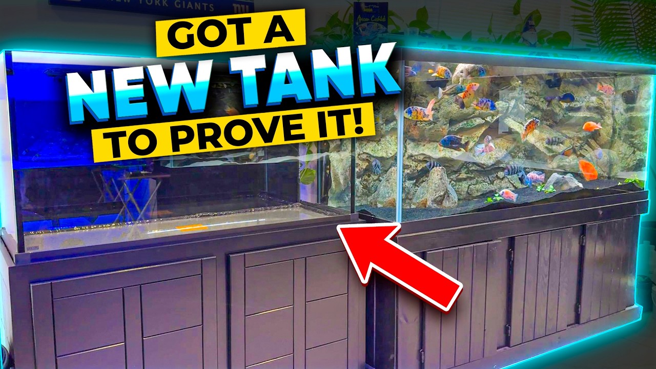 The Tap Water Saltwater Aquarium Experiment! Will It Work?