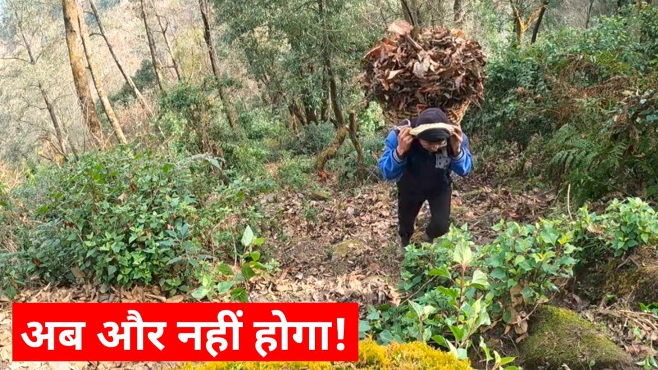 जंगल के बीच ये क्या हो गया? 😰 50 किलो का बोझ और जानलेवा रास्ता!