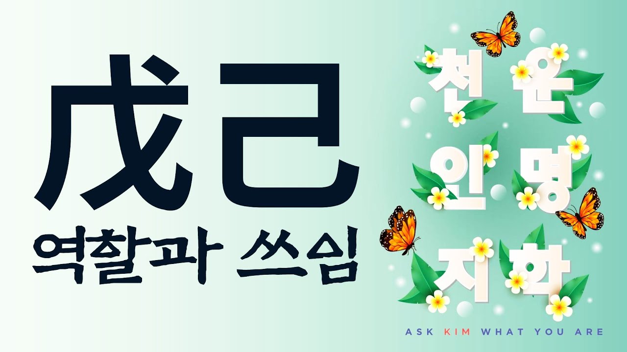 戊己 역할과 쓰임
