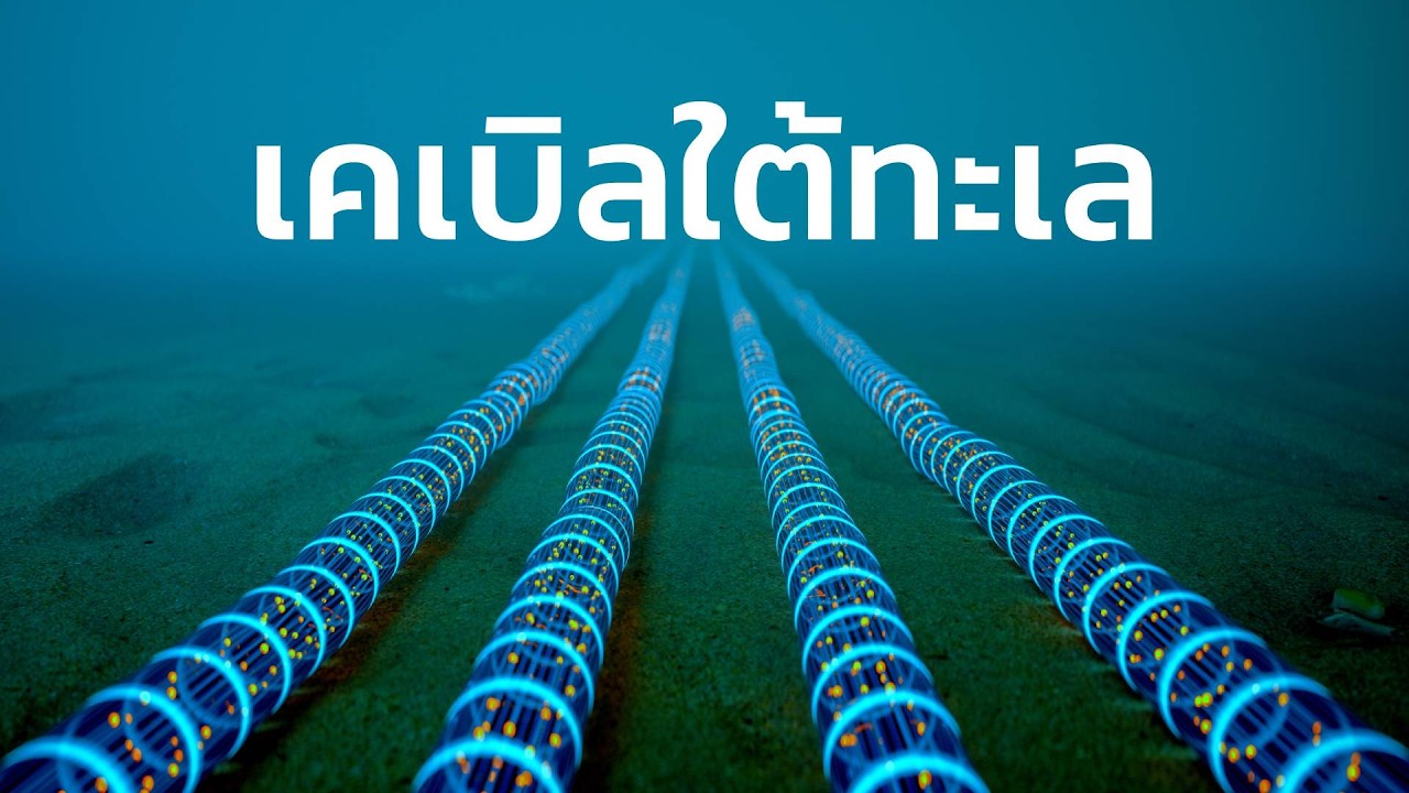 เรื่องยุ่งเหยิงของสายใต้ทะเล