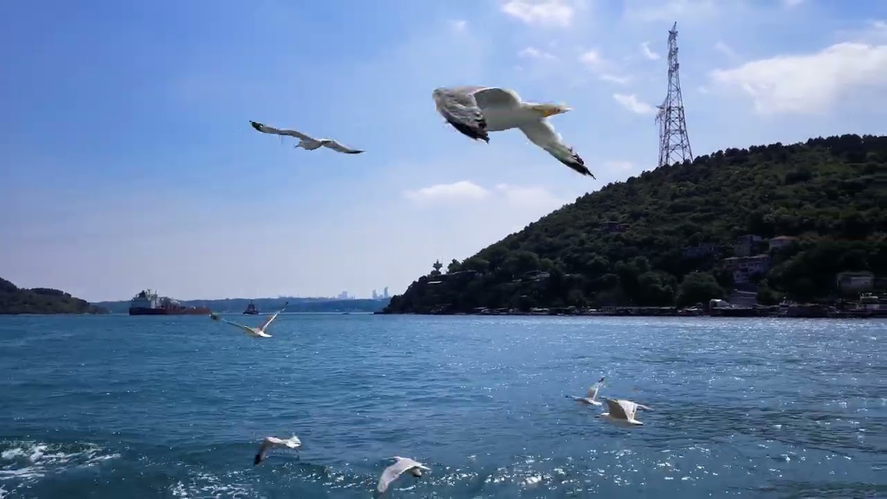 Bosphorus Cruise 2022 - Heading South