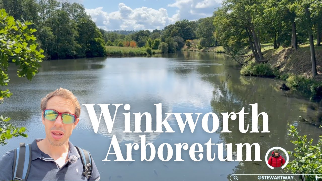 Winkworth Arboretum - beautiful lake and woodland walks in Surrey