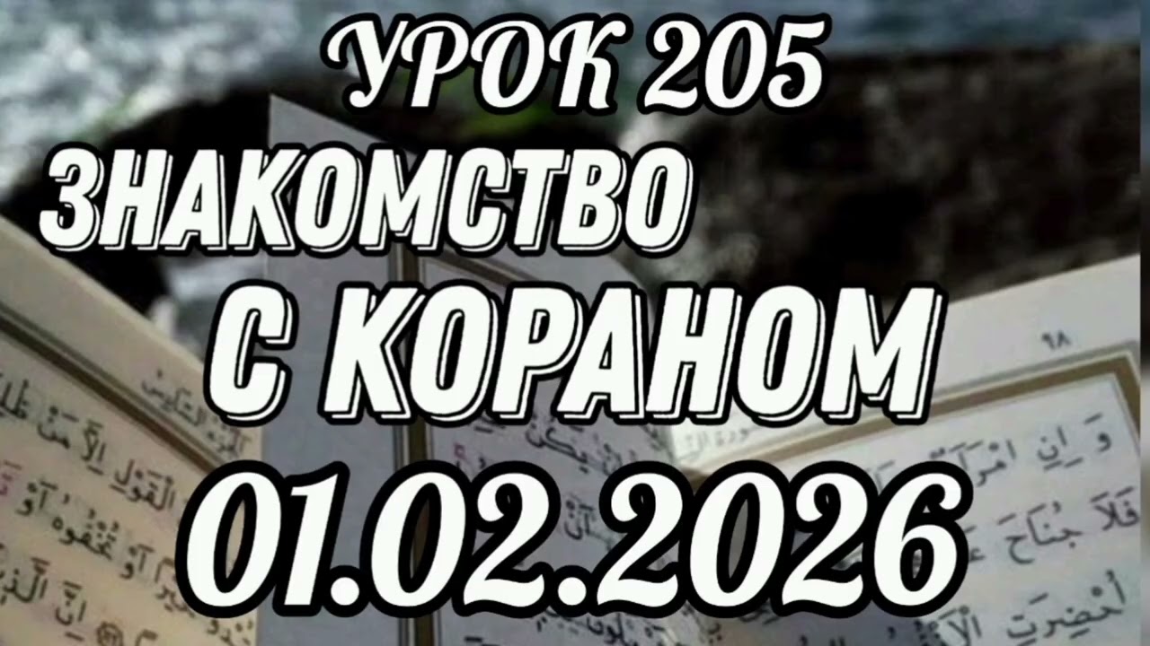 205. Знакомство с Кораном. #вольныйаул 