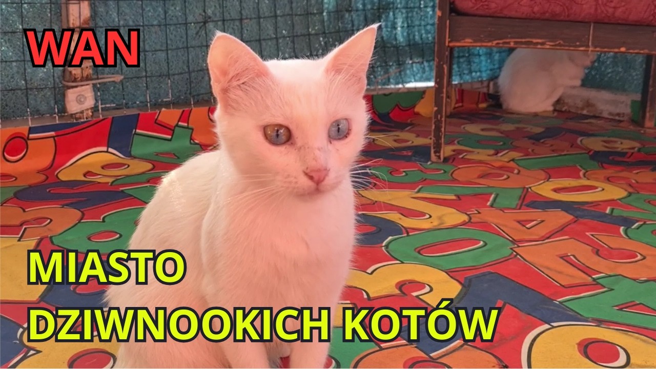 TURCJA cz. IV Wan i Jezioro Wan