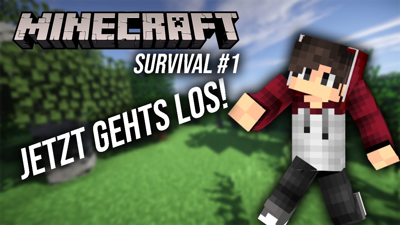 Es geht los! Minecraft Survival #1
