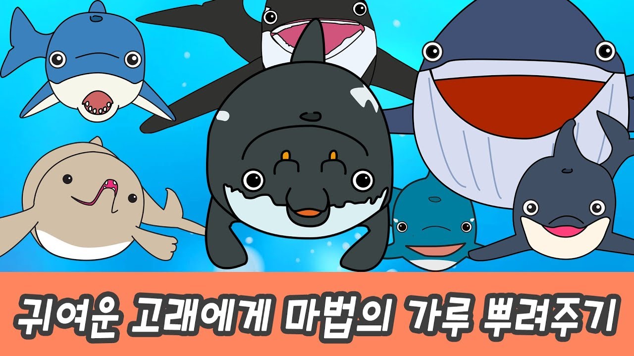 한국어ㅣ귀여운 고래에게 마법의 가루 뿌려주기! 어린이 동물만화, 고래 이름 외우기, 컬렉타ㅣ꼬꼬스토이