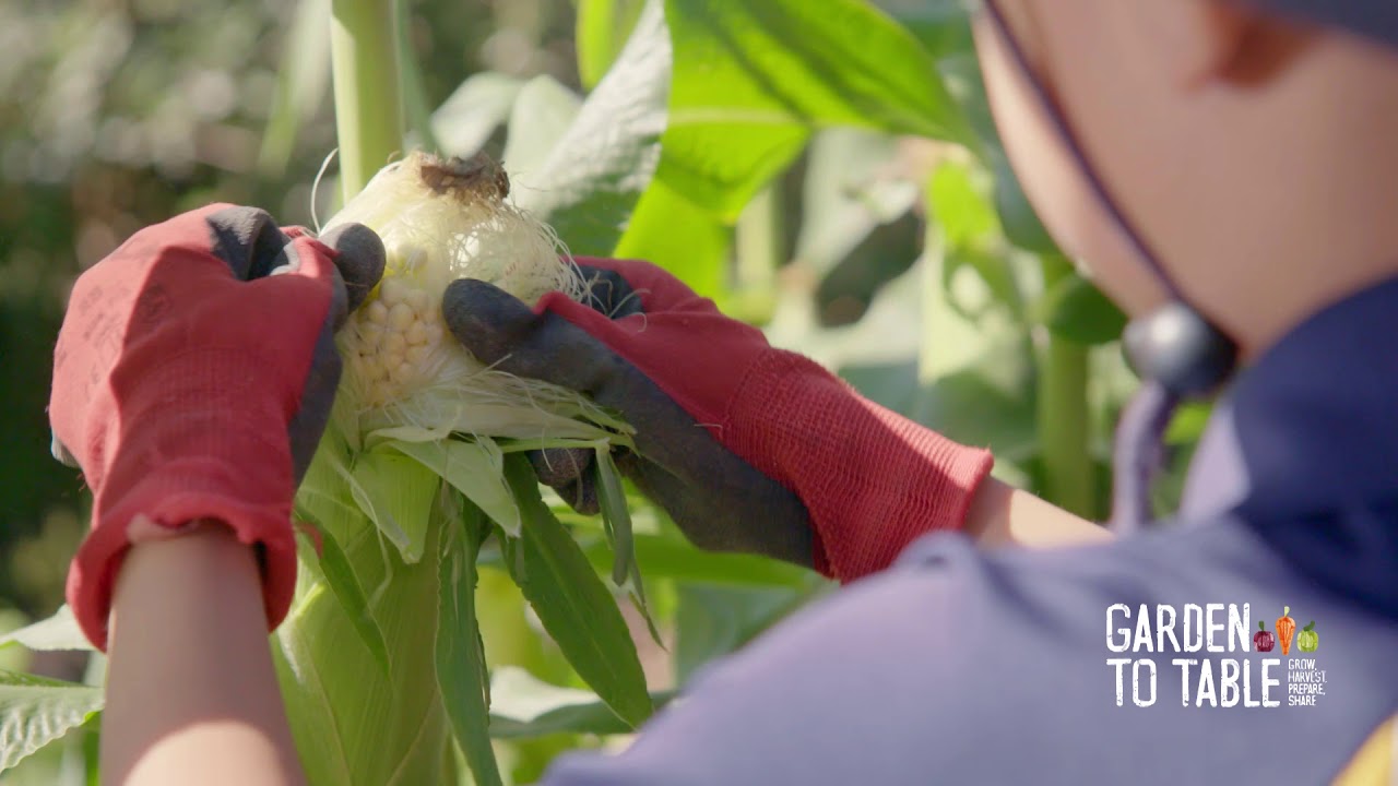 Garden to Table VOD 15 for Digital